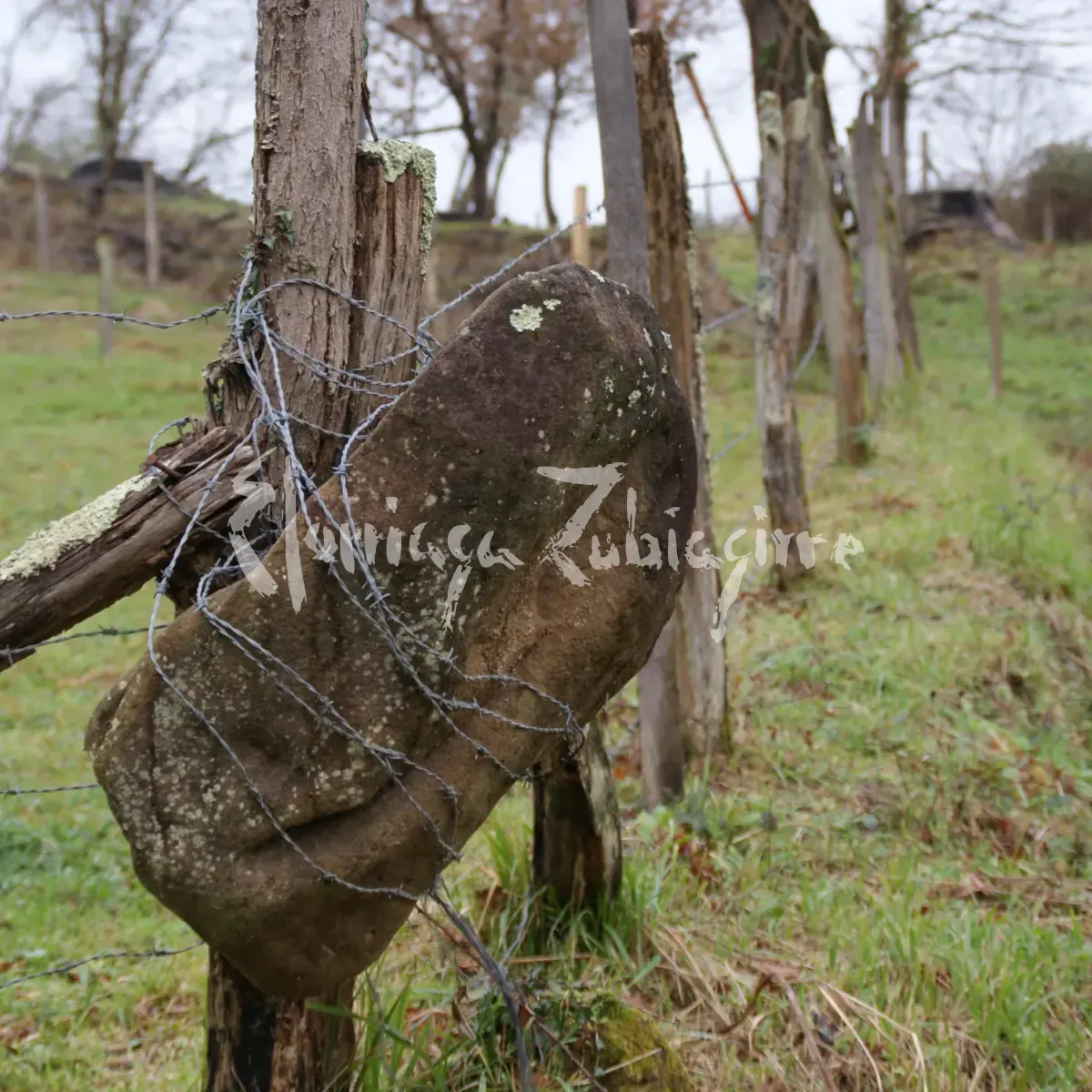 Jose Ramon Elorriaga Zubiaguirre. Berroiales