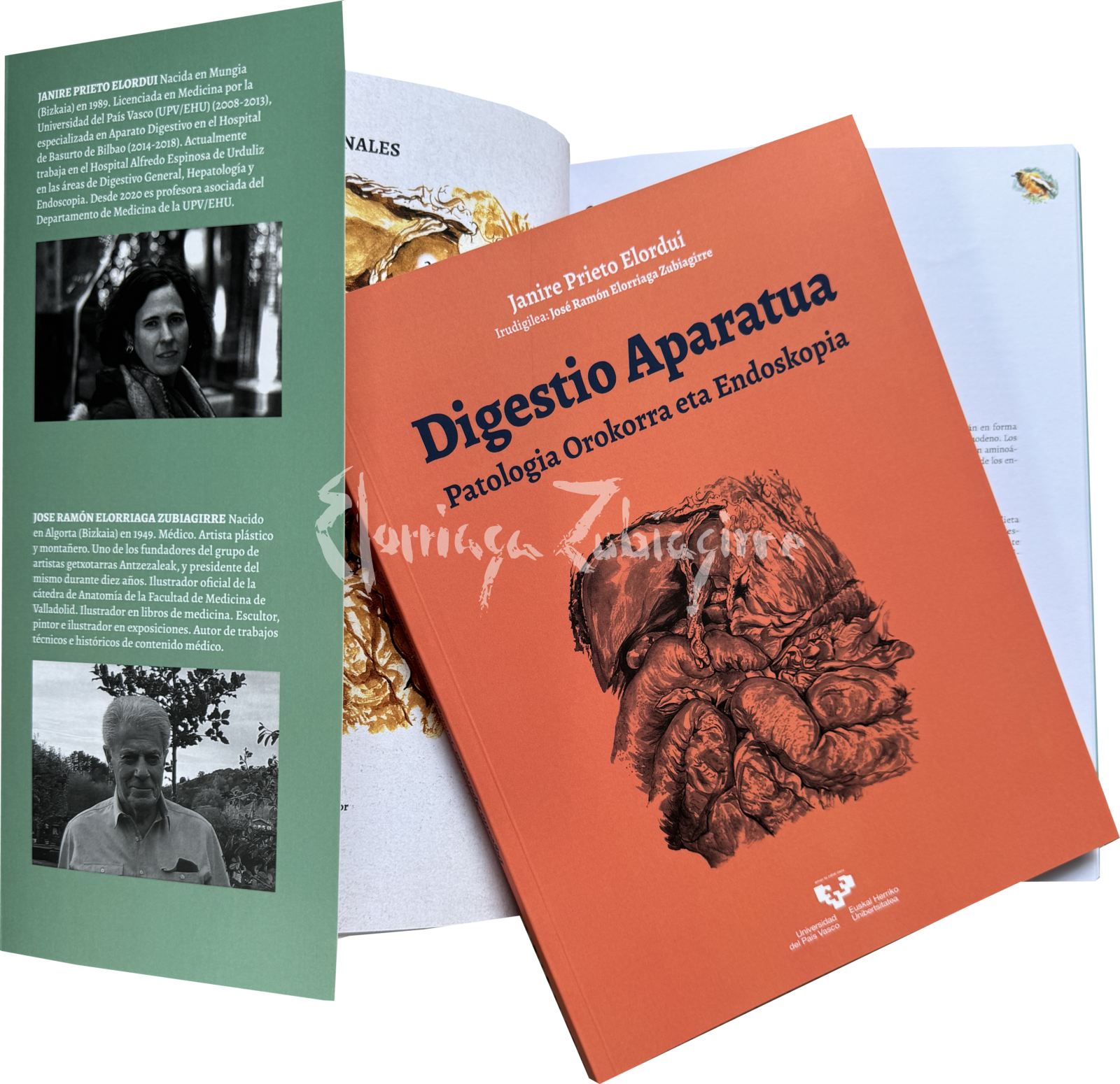 Digestio-Aparatua-2024-durangoko-azoka